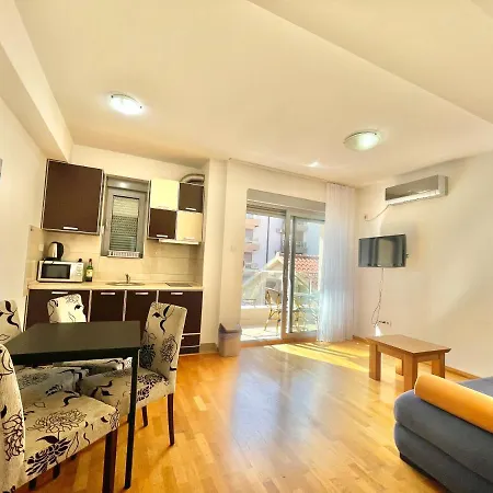 Comfort Aleksic Апартаменты *