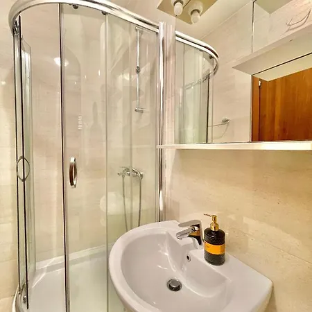 Comfort Aleksic Апартаменты *