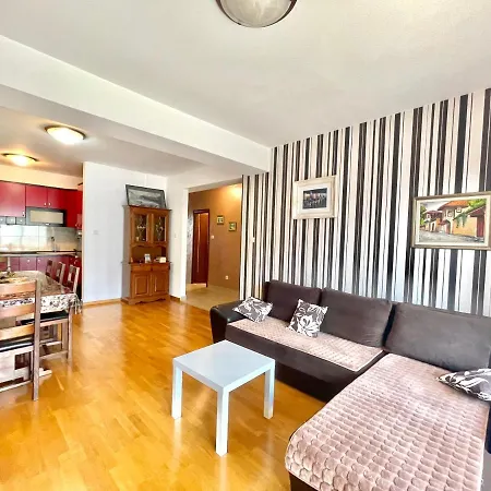 Comfort Aleksic Апартаменты