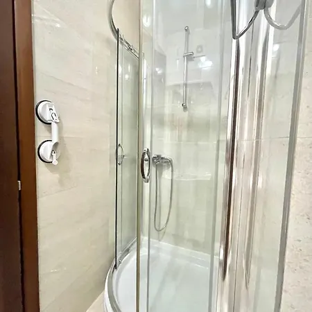 Comfort Aleksic Апартаменты *