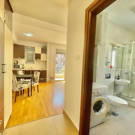 Comfort Aleksic Апартаменты *